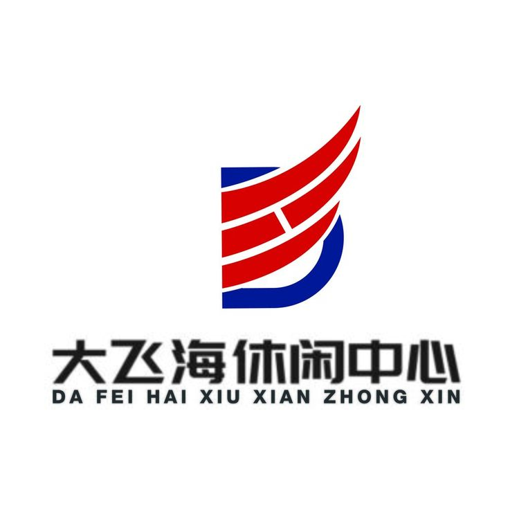 大飞海logo