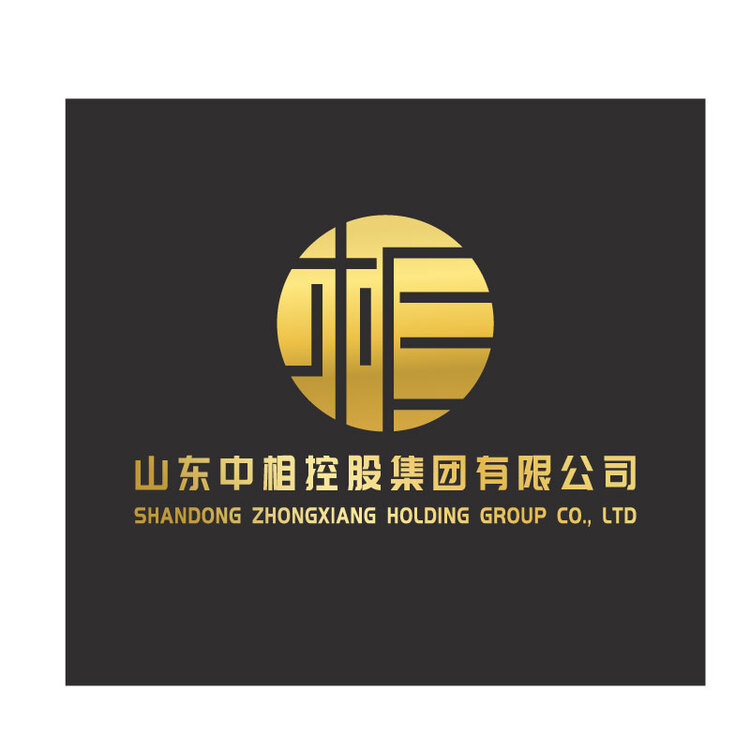 中相集团logo