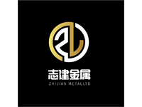 ZJ金属logo