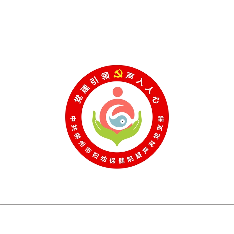 柳州市妇幼保健院超声科党支部logo