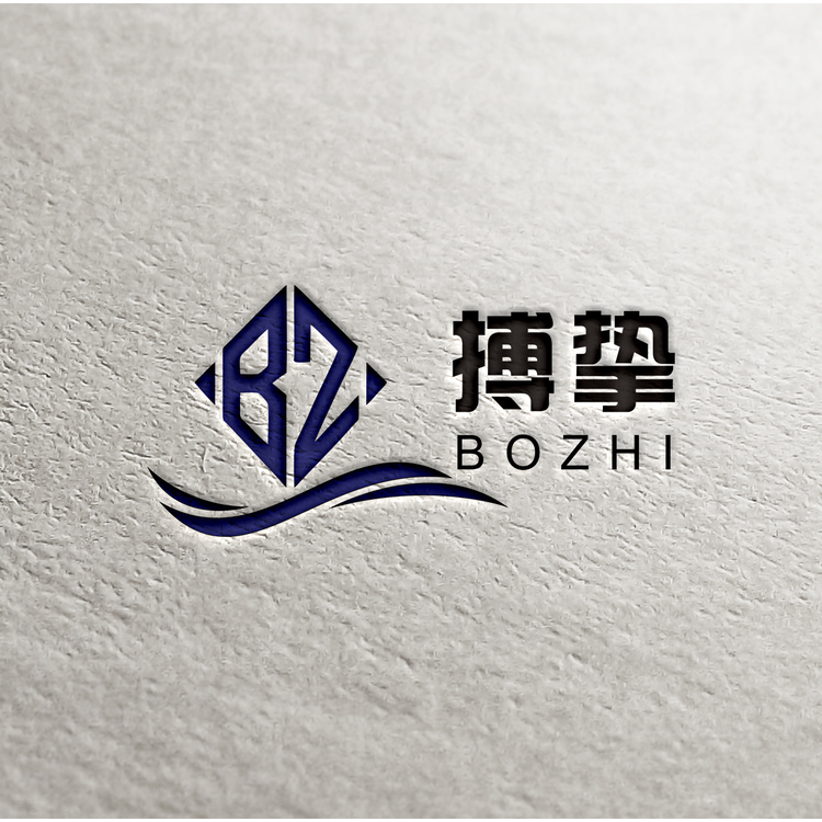 上海搏挚体育文化发展有限公司logo