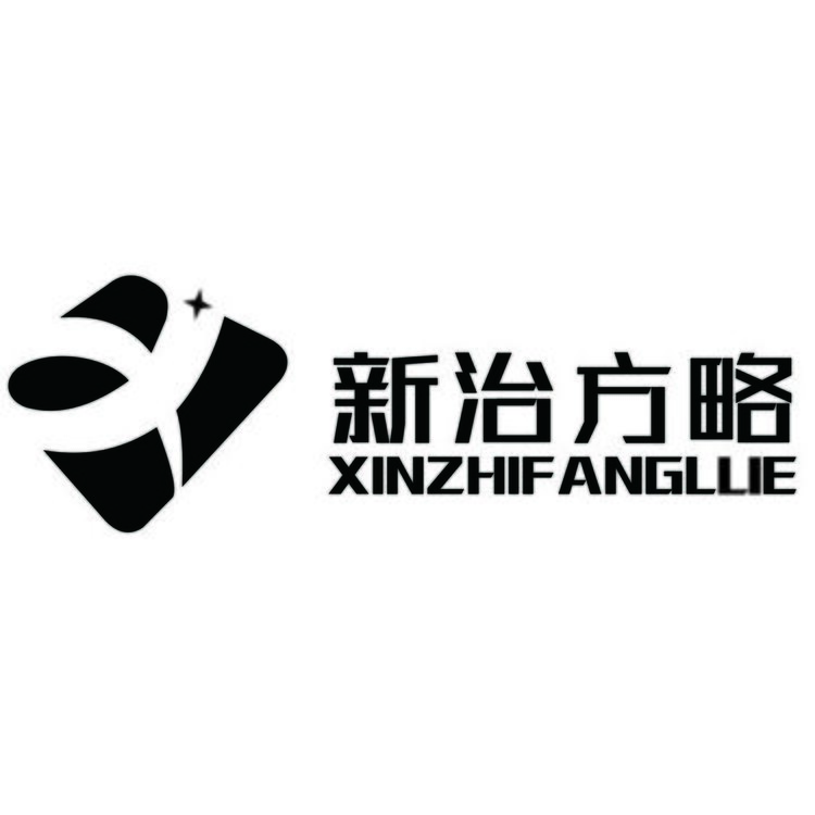 新治方略logo