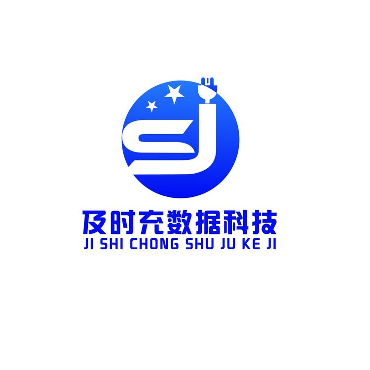 及时充数据科技logo