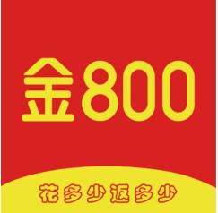 金800集团