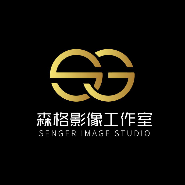 SG相机logologo