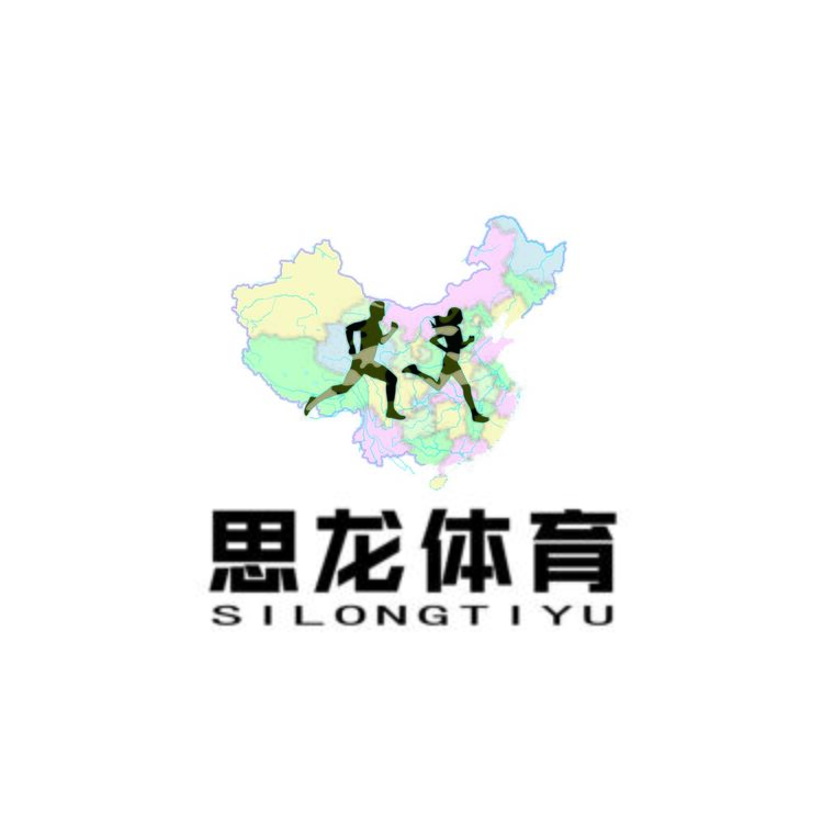 思龙体育logo