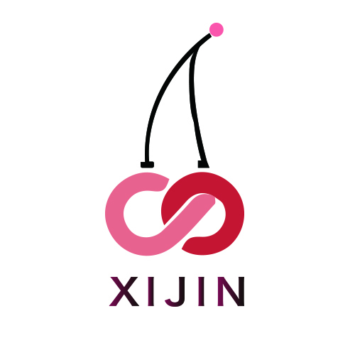 XIJINlogo