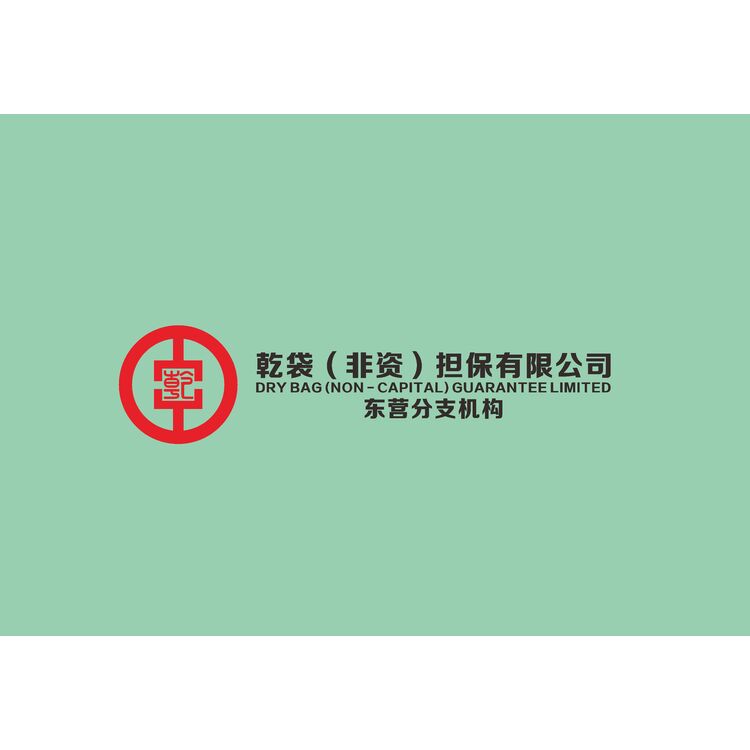 乾袋（非资）担保有限公司logo