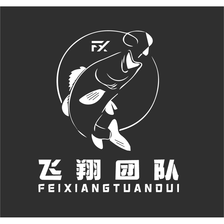 飞翔团队logo