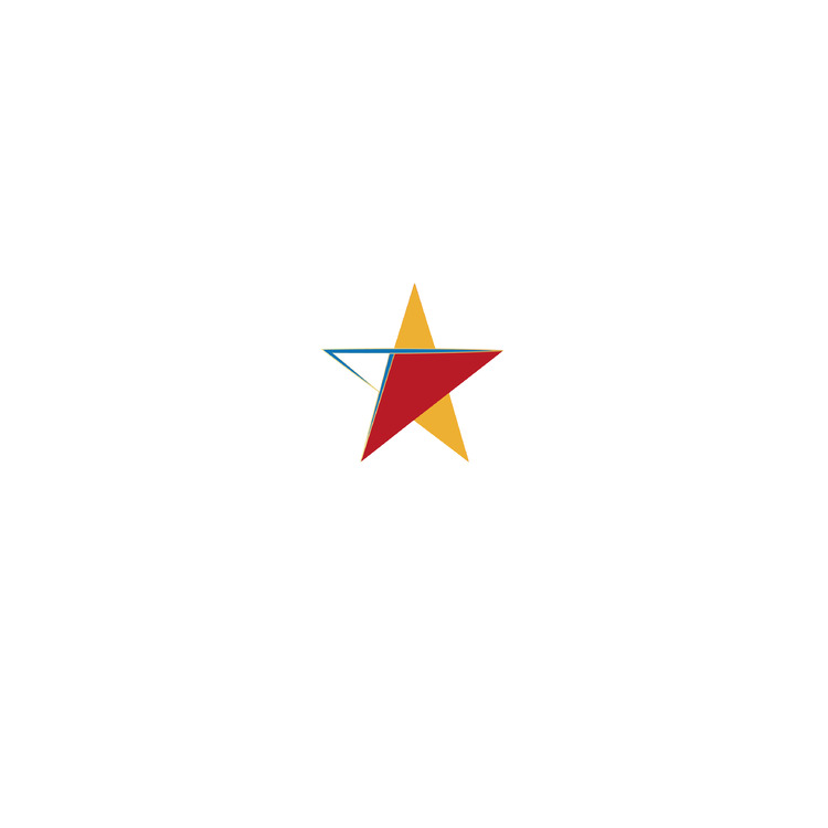 dsslogo