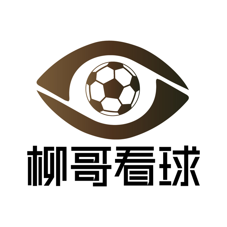 柳哥看球logo